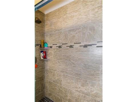 1009 Alpine Ridge Dr, Ballwin, MO 63021 photo 27