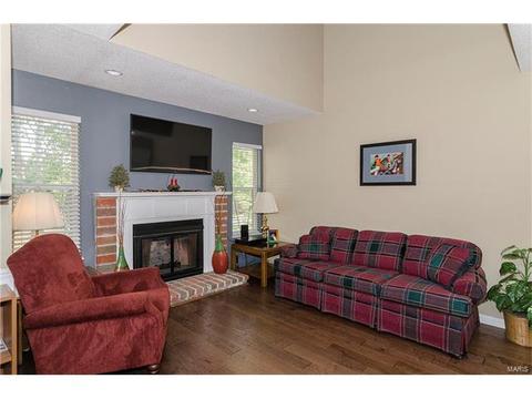 1009 Alpine Ridge Dr, Ballwin, MO 63021 photo 13