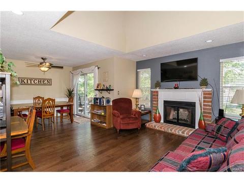 1009 Alpine Ridge Dr, Ballwin, MO 63021 photo 8