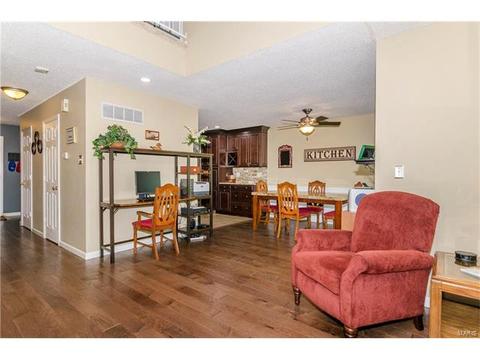 1009 Alpine Ridge Dr, Ballwin, MO 63021 photo 10