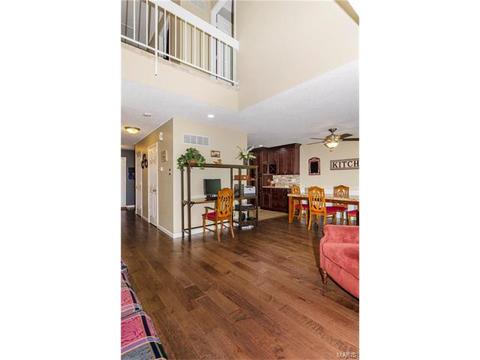 1009 Alpine Ridge Dr, Ballwin, MO 63021 photo 9
