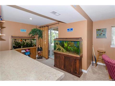 1009 Alpine Ridge Dr, Ballwin, MO 63021 photo 30