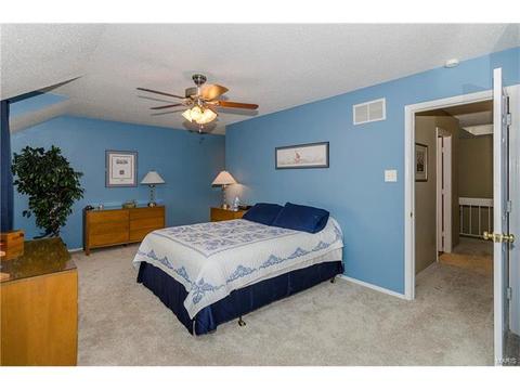 1009 Alpine Ridge Dr, Ballwin, MO 63021 photo 22