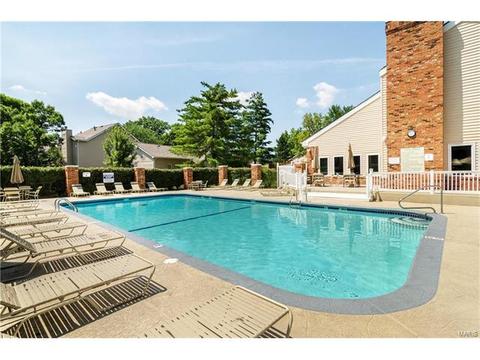 1009 Alpine Ridge Dr, Ballwin, MO 63021 photo 39