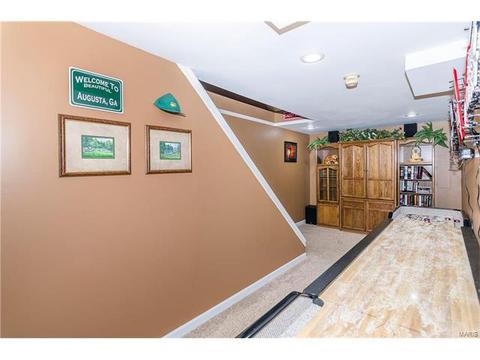 1009 Alpine Ridge Dr, Ballwin, MO 63021 photo 28