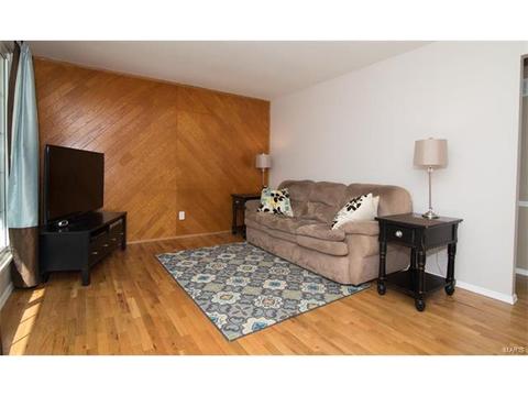 15 Wilbert Dr, Saint Charles, MO 63304 photo 6