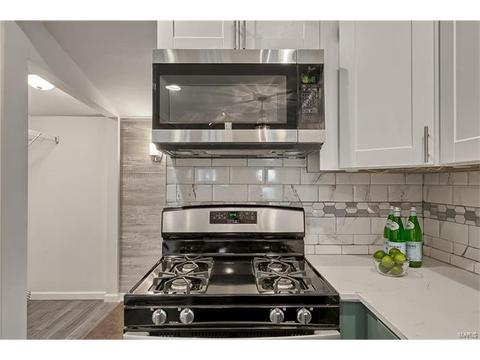 110 Eldridge Ave, Saint Louis, MO 63119 photo 12