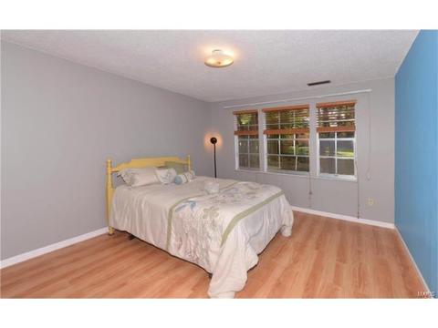 718 Knickerbacker Dr, Ballwin, MO 63021 photo 17