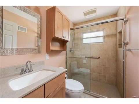 11040 Patsy Dr, Saint Louis, MO 63123 photo 11