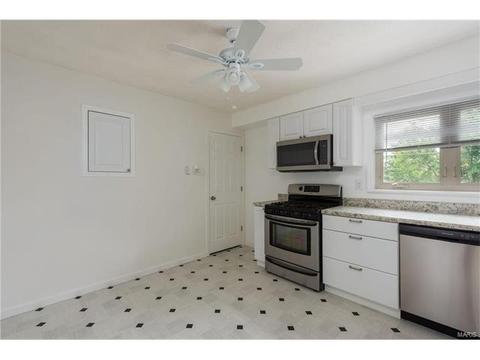 11040 Patsy Dr, Saint Louis, MO 63123 photo 7