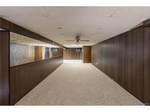11040 Patsy Dr, Saint Louis, MO 63123 photo 15