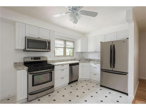 11040 Patsy Dr, Saint Louis, MO 63123 photo 5