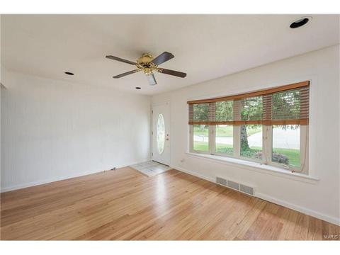 11040 Patsy Dr, Saint Louis, MO 63123 photo 3