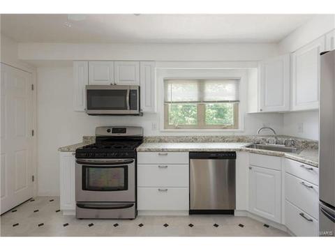 11040 Patsy Dr, Saint Louis, MO 63123 photo 6