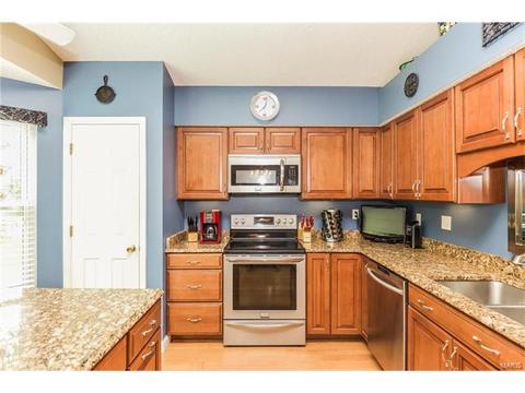 2072 Alexandria Row, O'fallon, MO 63368 photo 14