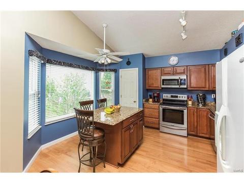 2072 Alexandria Row, O'fallon, MO 63368 photo 11