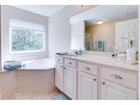 392 Saint Gemma Dr, O'fallon, MO 63366 photo 17