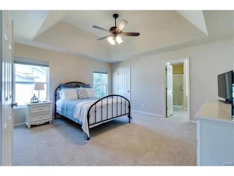 392 Saint Gemma Dr, O'fallon, MO 63366 photo 15