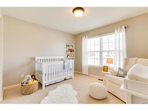 392 Saint Gemma Dr, O'fallon, MO 63366 photo 19