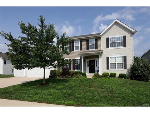 911 Wilderness Way, Eureka, MO 63025 photo 1