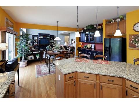 911 Wilderness Way, Eureka, MO 63025 photo 7