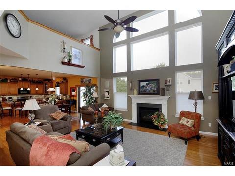 911 Wilderness Way, Eureka, MO 63025 photo 5