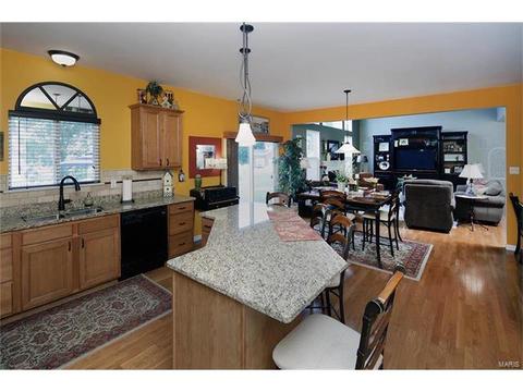 911 Wilderness Way, Eureka, MO 63025 photo 8