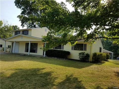 802 Love Dr, O'fallon, MO 63366 photo 46