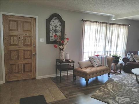 802 Love Dr, O'fallon, MO 63366 photo 9