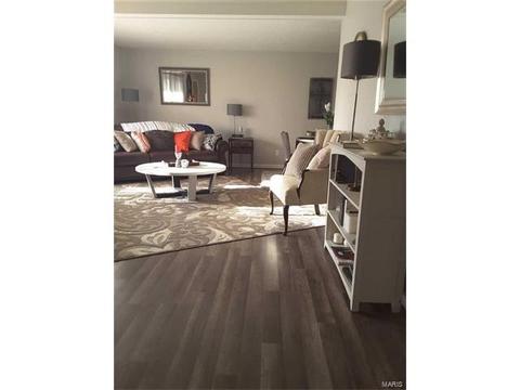 802 Love Dr, O'fallon, MO 63366 photo 11