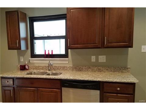 802 Love Dr, O'fallon, MO 63366 photo 21