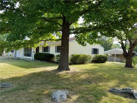 802 Love Dr, O'fallon, MO 63366 photo 45