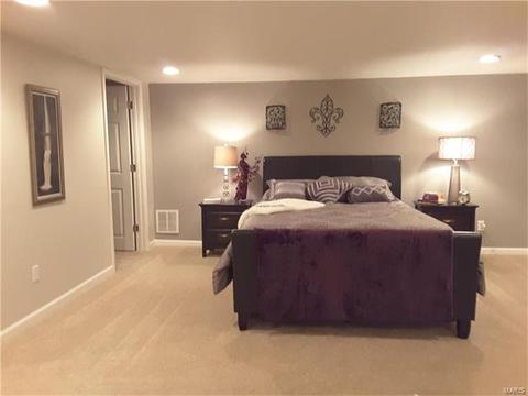 802 Love Dr, O'fallon, MO 63366 photo 28