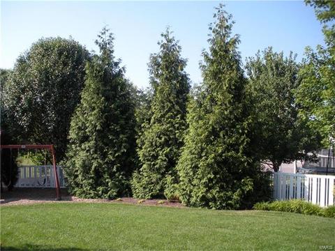 1809 Jacobs Cir, Saint Peters, MO 63376 photo 33