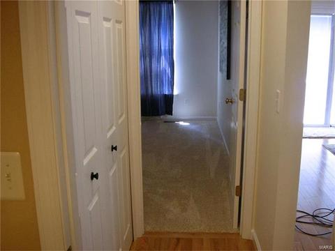 1557 Forest Springs Dr, Ballwin, MO 63021 photo 20