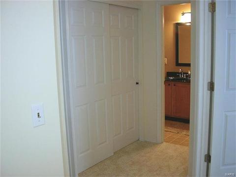 1557 Forest Springs Dr, Ballwin, MO 63021 photo 28