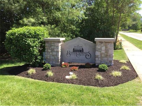 1557 Forest Springs Dr, Ballwin, MO 63021 photo 63