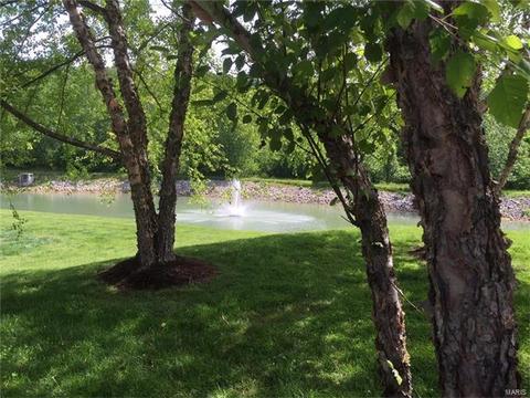 1557 Forest Springs Dr, Ballwin, MO 63021 photo 60