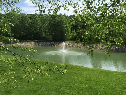 1557 Forest Springs Dr, Ballwin, MO 63021 photo 61