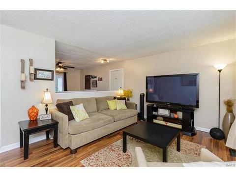 418 Fire Tree Ln, O'fallon, MO 63368 photo 2