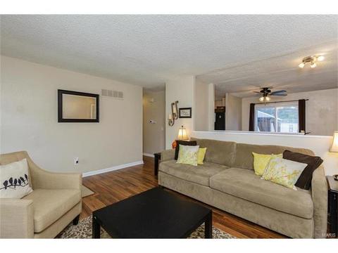 418 Fire Tree Ln, O'fallon, MO 63368 photo 18