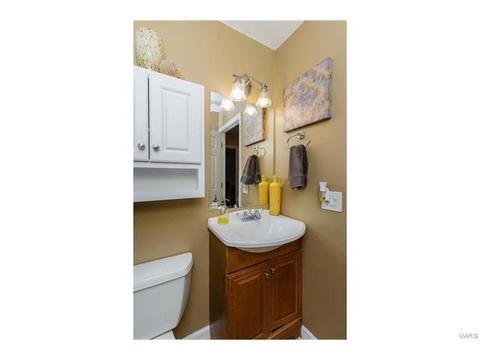 418 Fire Tree Ln, O'fallon, MO 63368 photo 22