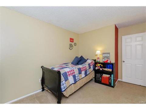 418 Fire Tree Ln, O'fallon, MO 63368 photo 14