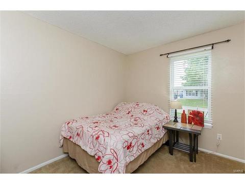 418 Fire Tree Ln, O'fallon, MO 63368 photo 16