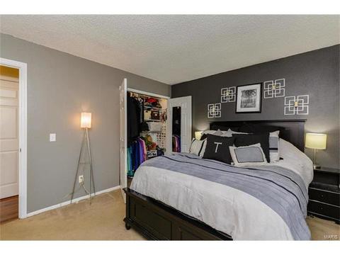 418 Fire Tree Ln, O'fallon, MO 63368 photo 20