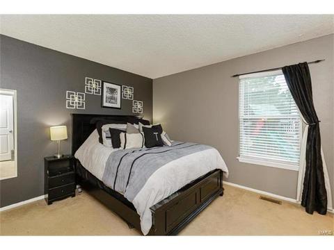 418 Fire Tree Ln, O'fallon, MO 63368 photo 12