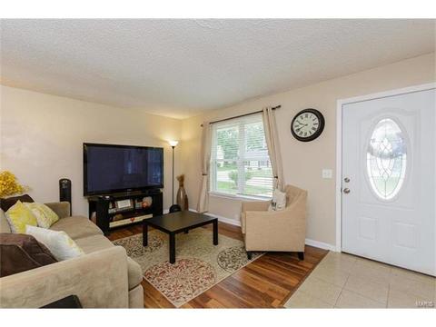 418 Fire Tree Ln, O'fallon, MO 63368 photo 7