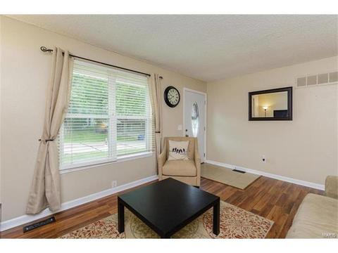 418 Fire Tree Ln, O'fallon, MO 63368 photo 8