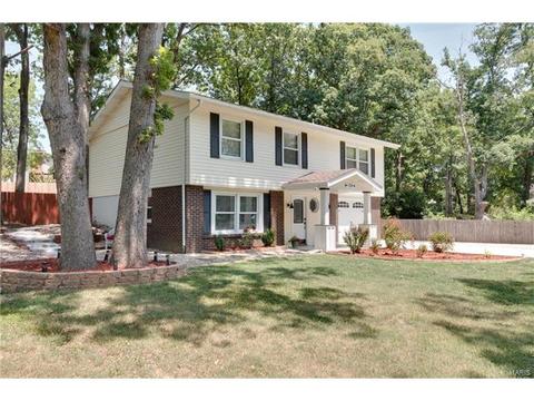 719 Montbrook Dr, O'fallon, MO 63366 photo 28