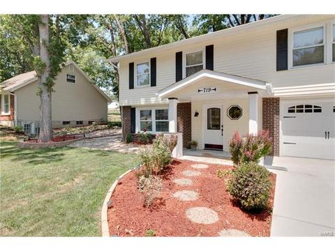 719 Montbrook Dr, O'fallon, MO 63366 photo 30